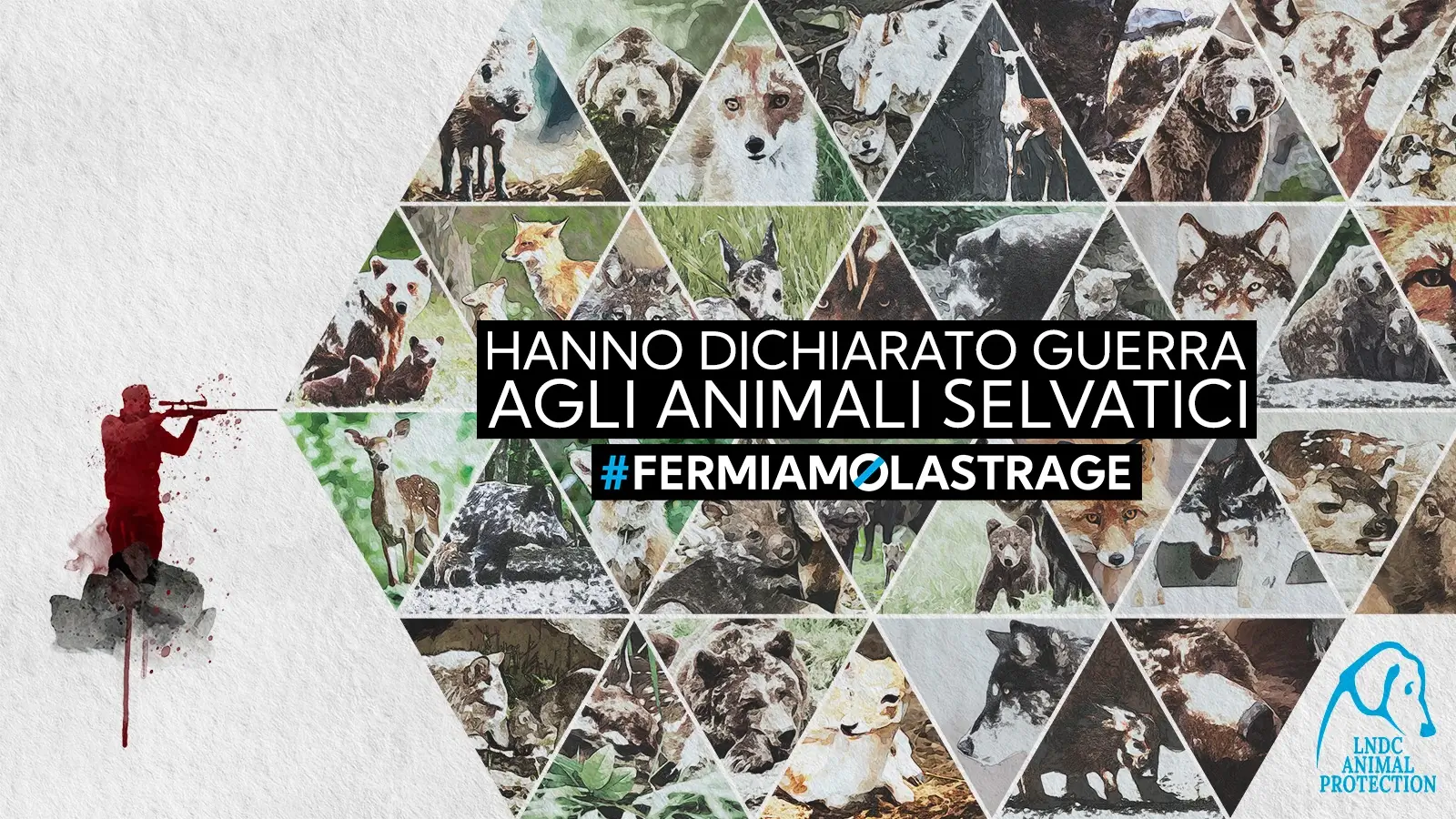 fermiamo-la-strage-firma-petizione-animali-selvatici