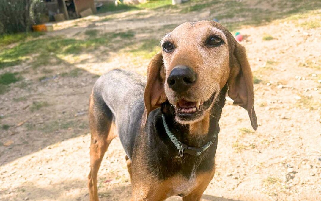 Eva, una nuova vita dopo il dolore