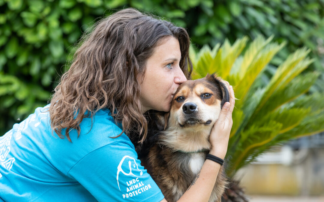 75 anni dalla parte degli animali. La nostra storia continua. Anche grazie a te e al tuo 5×1000 a LNDC