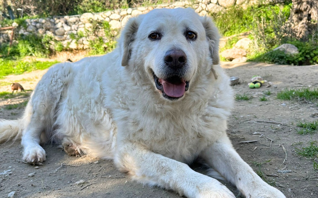 Curvy, dall’abbandono alla rinascita: una nuova vita fatta di amore e sicurezze