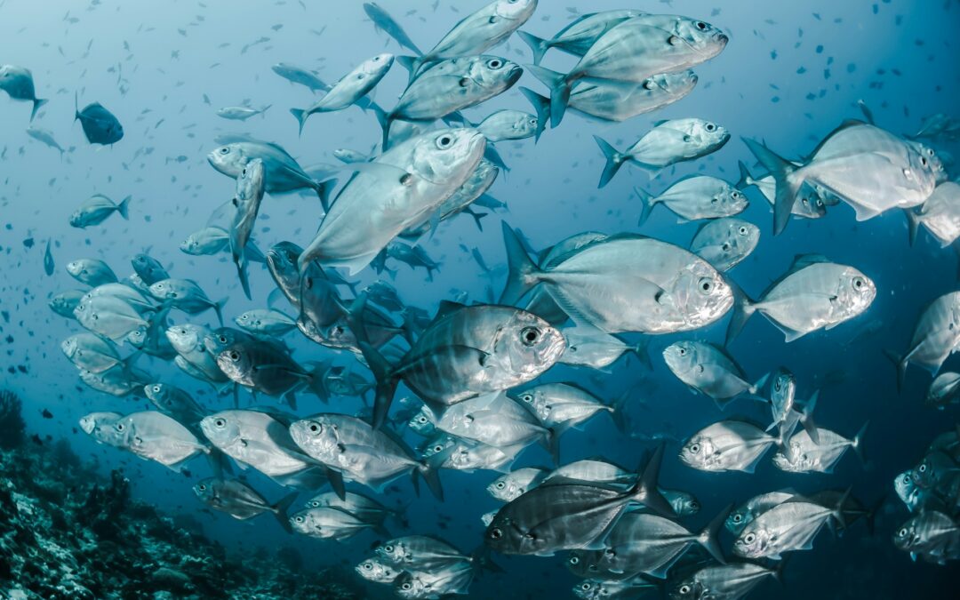 Benevento, LNDC Animal Protection contro il Terraquarium