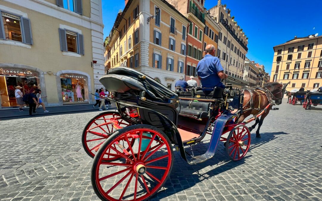 Palermo, cavallo stramazza a terra mentre traina un calesse – LNDC Animal Protection: “Denunciamo. Basta sfruttamento, è ora di vietare questa crudeltà”