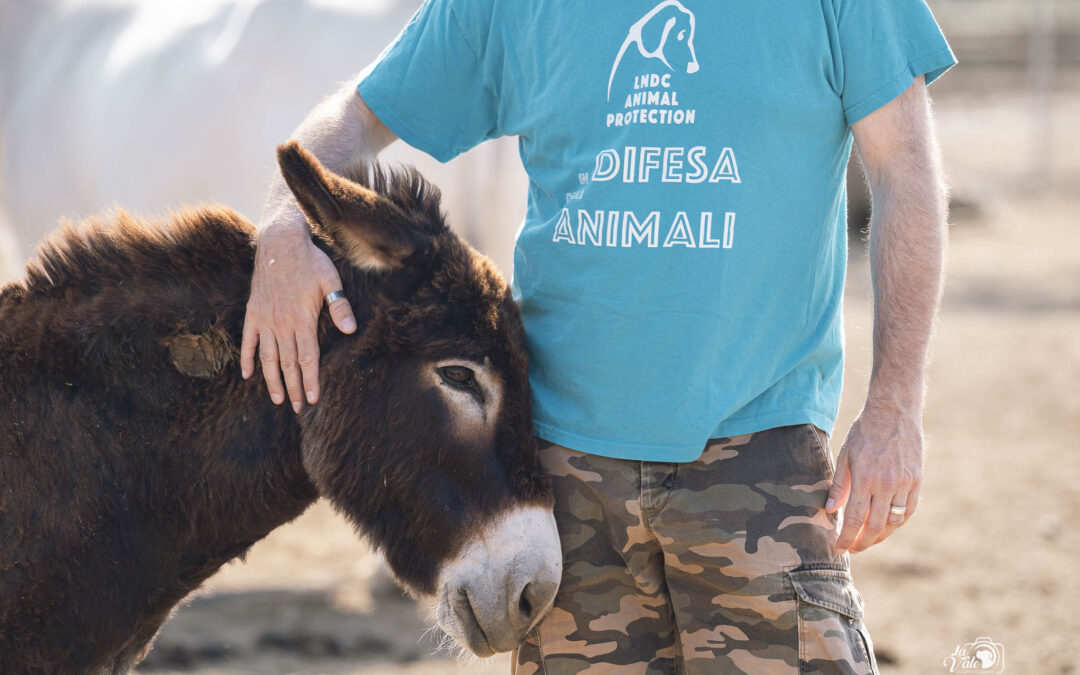 Ogni giorno al fianco degli animali. Ovunque ce ne sia bisogno.
