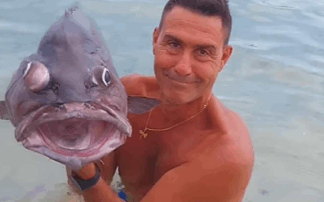 Vannacci e il video con il pesce, LNDC Animal Protection: un gesto inaccettabile e diseducativo
