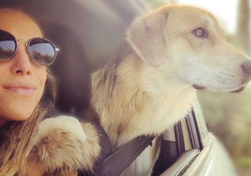 Marina di Castagneto Carducci: Elena Antonelli e l’amore per il suo cane