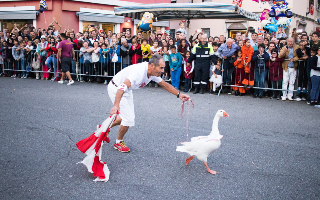 Palio dell’Oca a Lacchiarella: LNDC Animal Protection chiede la sospensione e controlli sugli animali