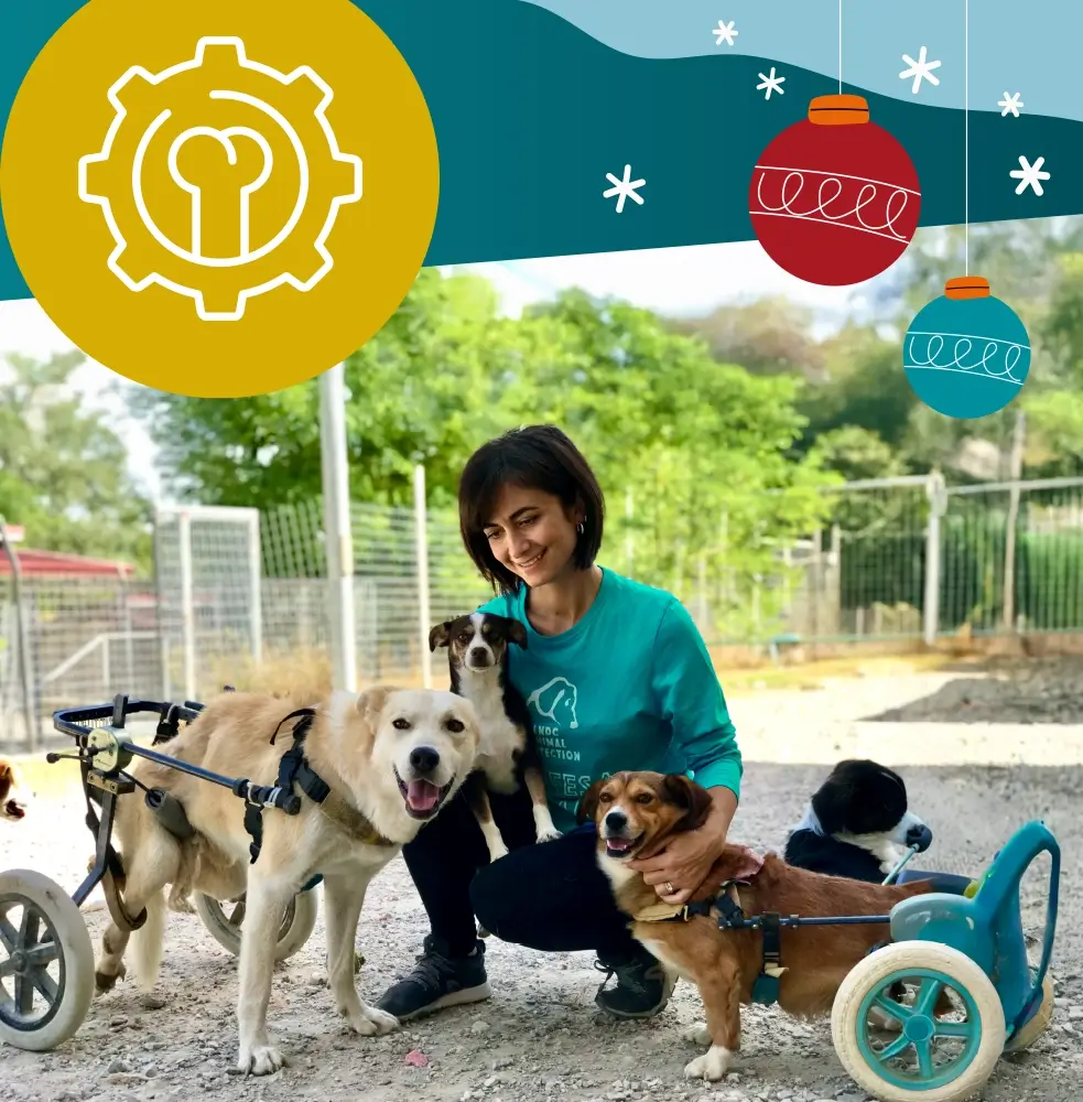 Regala 2 sedute di fisioterapia per un cane disabile