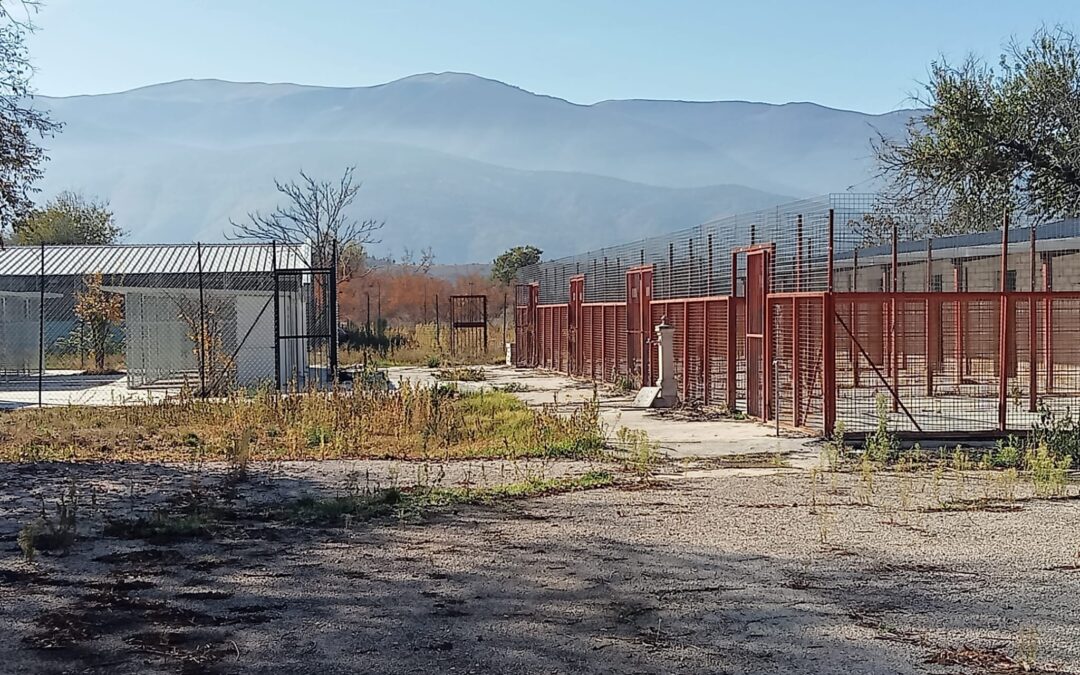 Canile di Sulmona: LNDC Animal Protection e LAV diffidano il Comune per gravi criticità nella procedura di affidamento