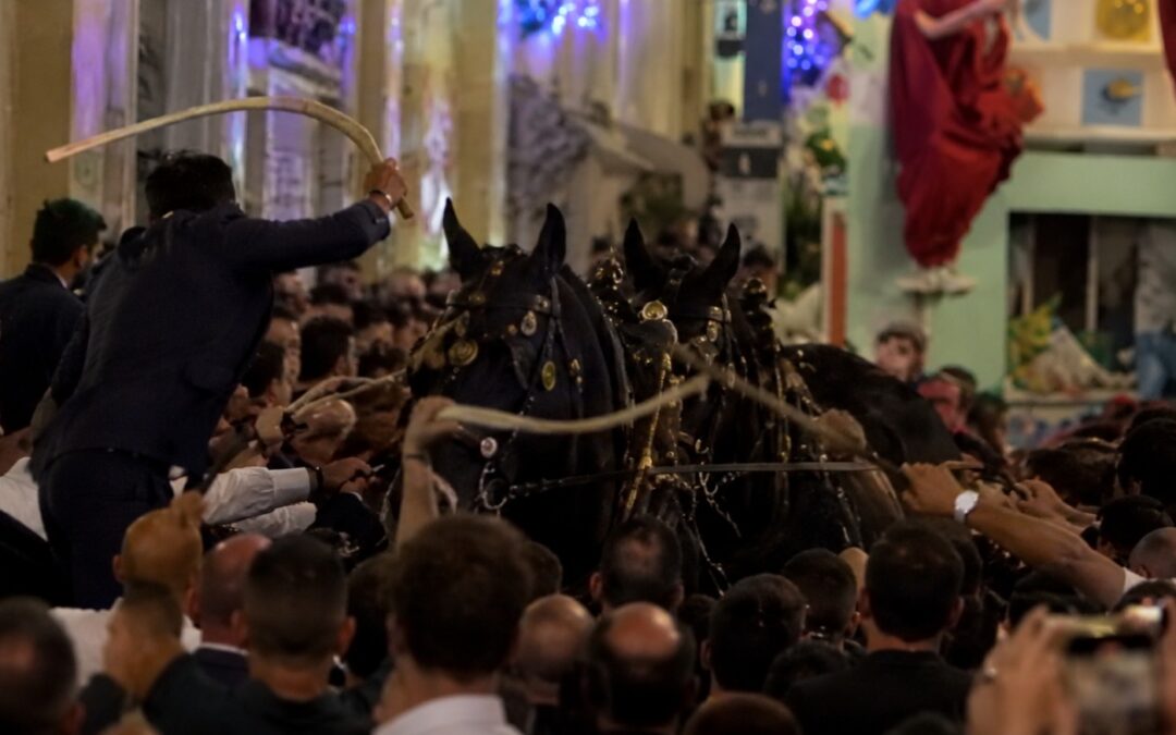 Matera – Festa della Bruna, cavalli frustati durante la manifestazione: LNDC Animal Protection presenta denuncia