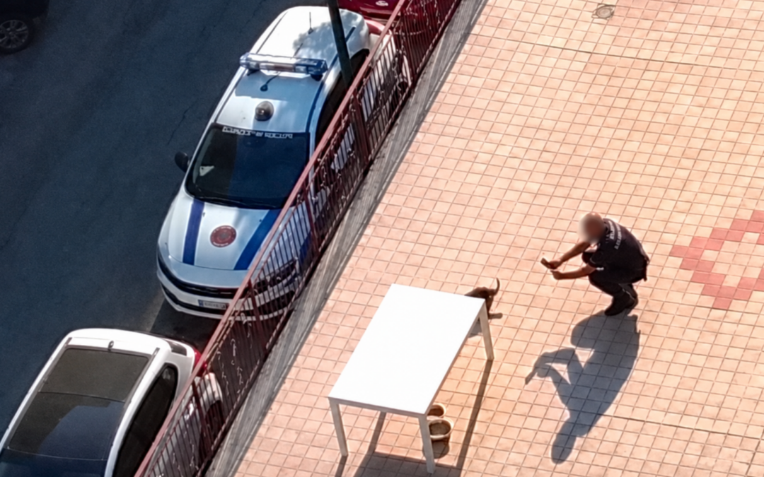 Cane morto su un terrazzo a Casoria, LNDC Animal Protection presenta denuncia