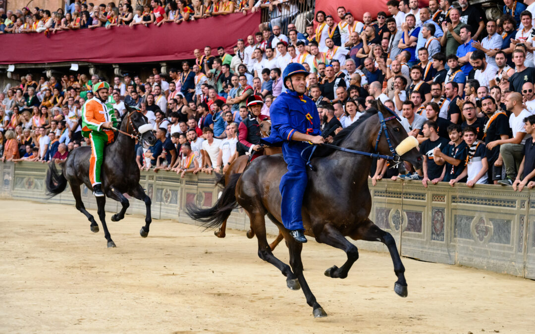 Palio di Siena: un cavallo travolto durante i festeggiamenti dimostra ancora una volta quanto questa manifestazione sia incompatibile con il benessere animale